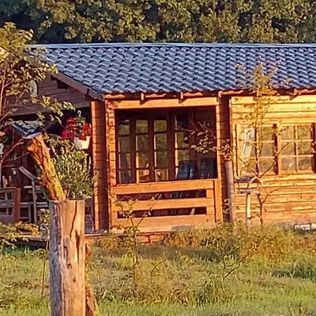 Ruime Romantische Blokhut Zwaanshoek Exterior photo