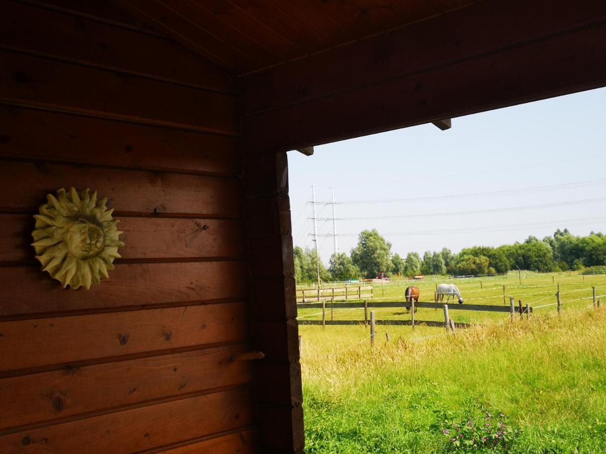 Ruime Romantische Blokhut Apartment *