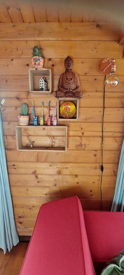 Apartment Ruime Romantische Blokhut Zwaanshoek